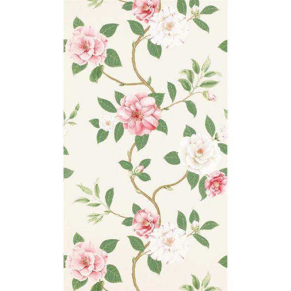 Christabel Wallpaper 213374 by Sanderson in Coral Ivory White