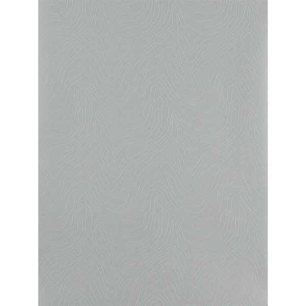 Formation Wallpaper 111592 by Harlequin in Silver Grey
