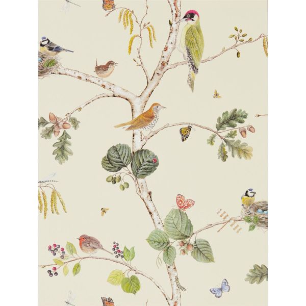 Woodland Chorus Wallpaper 215703 by Sanderson in Cream