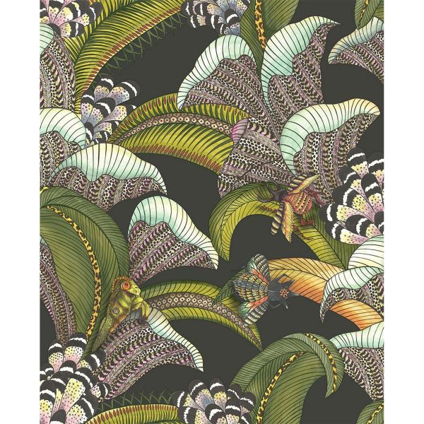 Hoopoe Leaves Wallpaper 119 1002 by Cole & Son in Black Multi
