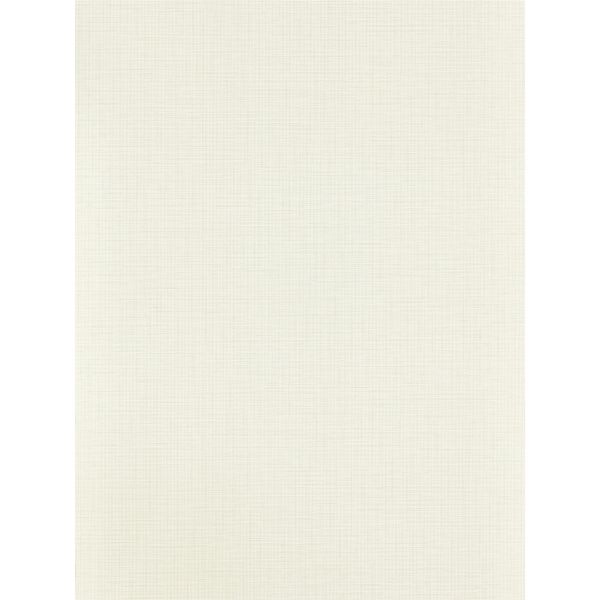 Lint Textured Wallpaper 112093 by Harlequin in Dove Grey