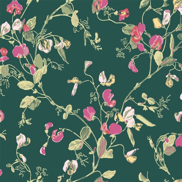 Sweet Pea Wallpaper 115 11033 by Cole & Son in Cerise Pink