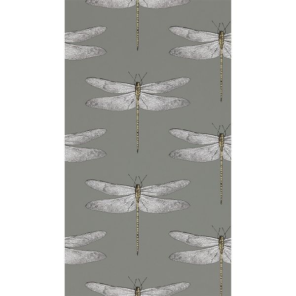Demoiselle Wallpaper 111242 by Harlequin in Graphite Almond Brown