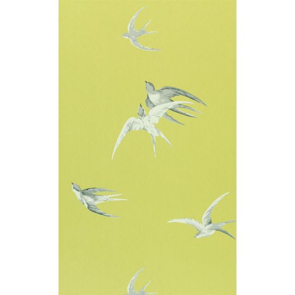 Swallows Wallpaper 101 by Sanderson in Lime Green