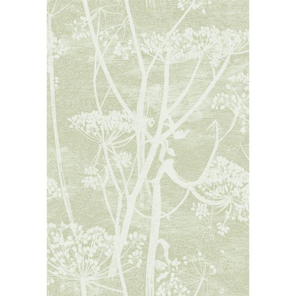 Cow Parsley Wallpaper 8029 by Cole & Son in Olive Green