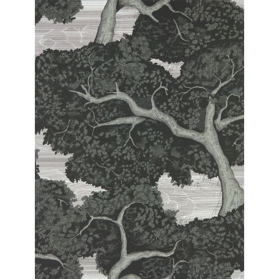 Eternal Oak Wallpaper 113040 by Harlequin in Ebony First Light