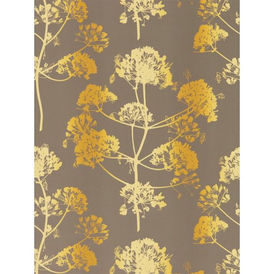 Angeliki Wallpaper 111403 by Harlequin in Mimosa Antique Gold