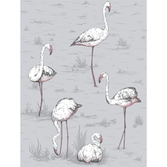 Flamingos Wallpaper 11040 by Cole & Son in Lilac Grey