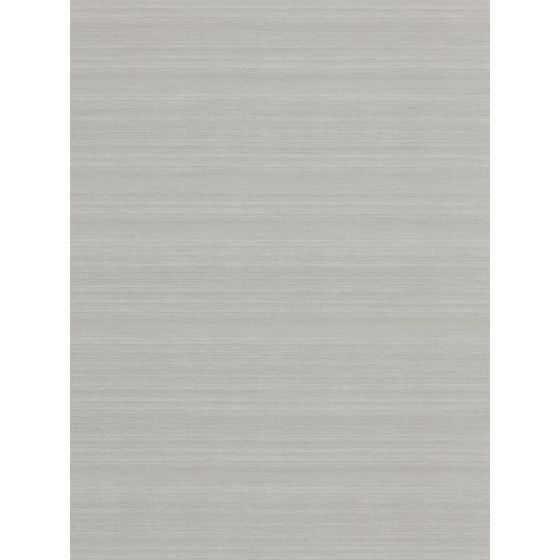 Raw Silk Wallpaper 312522 by Zoffany in Silver Birch