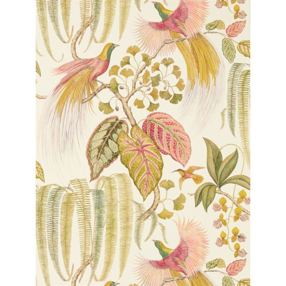 Bird Of Paradise Wallpaper 216653 by Sanderson in Olive Green