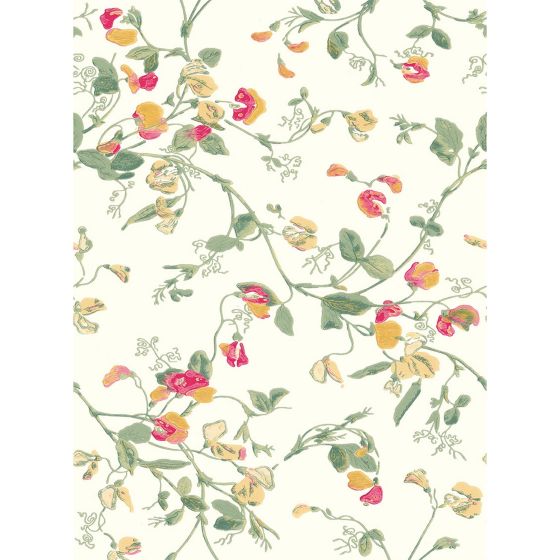Sweet Pea Wallpaper 100 6027 by Cole & Son in Pink Yellow