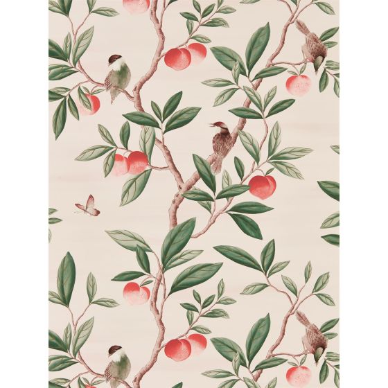 Ella Wallpaper 112907 by Harlequin in Powder Sage Pink