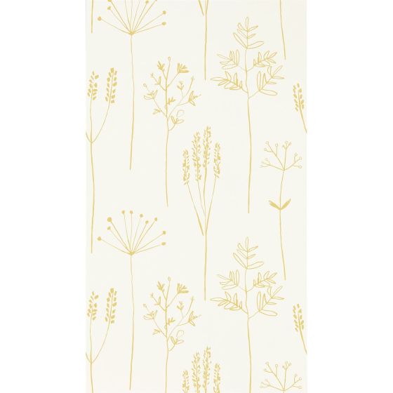 Stipa Leaf Wallpaper 112021 by Scion in Honey Yellow