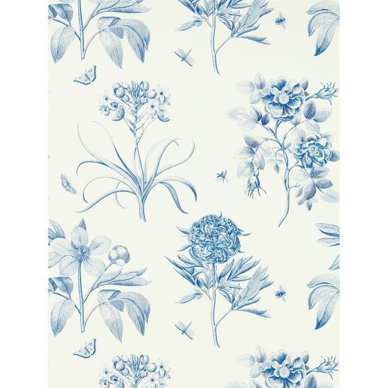Etchings & Roses Wallpaper 217052 by Sanderson in China Blue