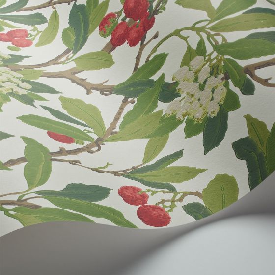Strawberry Tree Wallpaper 100 10049 by Cole & Son in Scarlet Ivory