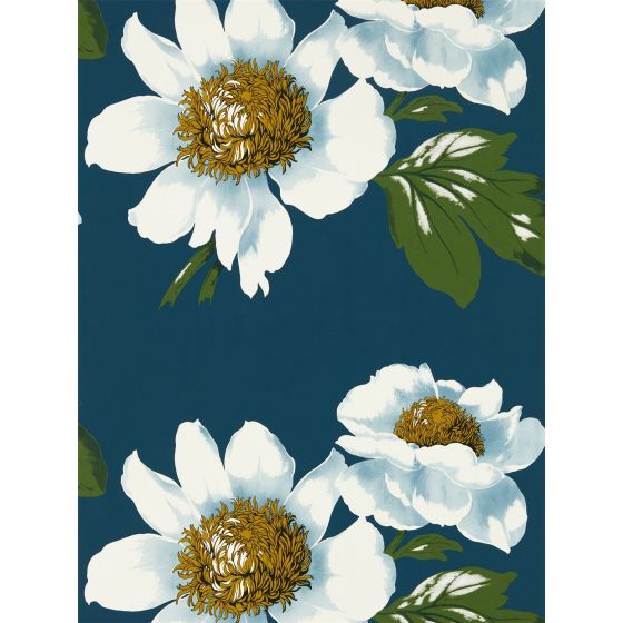 Paeonia Wallpaper 2112842 by Harlequin in Azurite Meadow Nectar