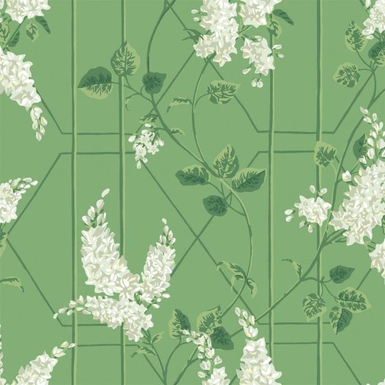 Wisteria Wallpaper 5016 by Cole & Son in Sage Green Leaf Green