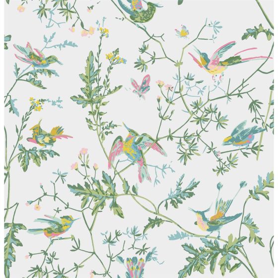 Humming Birds Wallpaper 4015 by Cole & Son in Green Pink